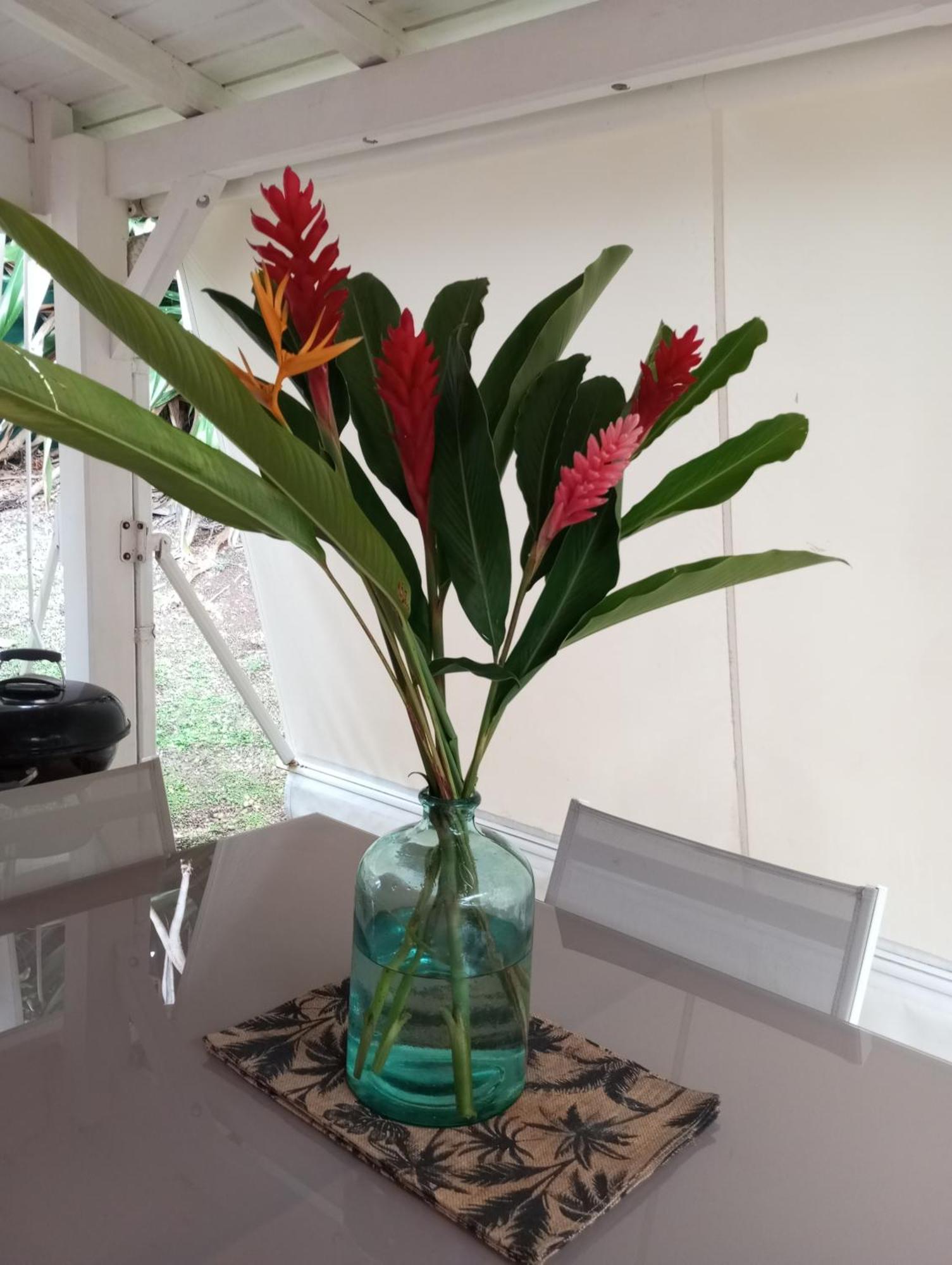 Bungalow Broceliande Le Gosier  Bagian luar foto